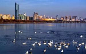 三門峽又一網紅景點，確定不來pick一下？