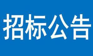 文達(dá)碧城府住宅小區(qū)建設(shè)項(xiàng)目Ⅱ期地上大堂及地下大堂軟裝采購(gòu)及安裝工程成交公告